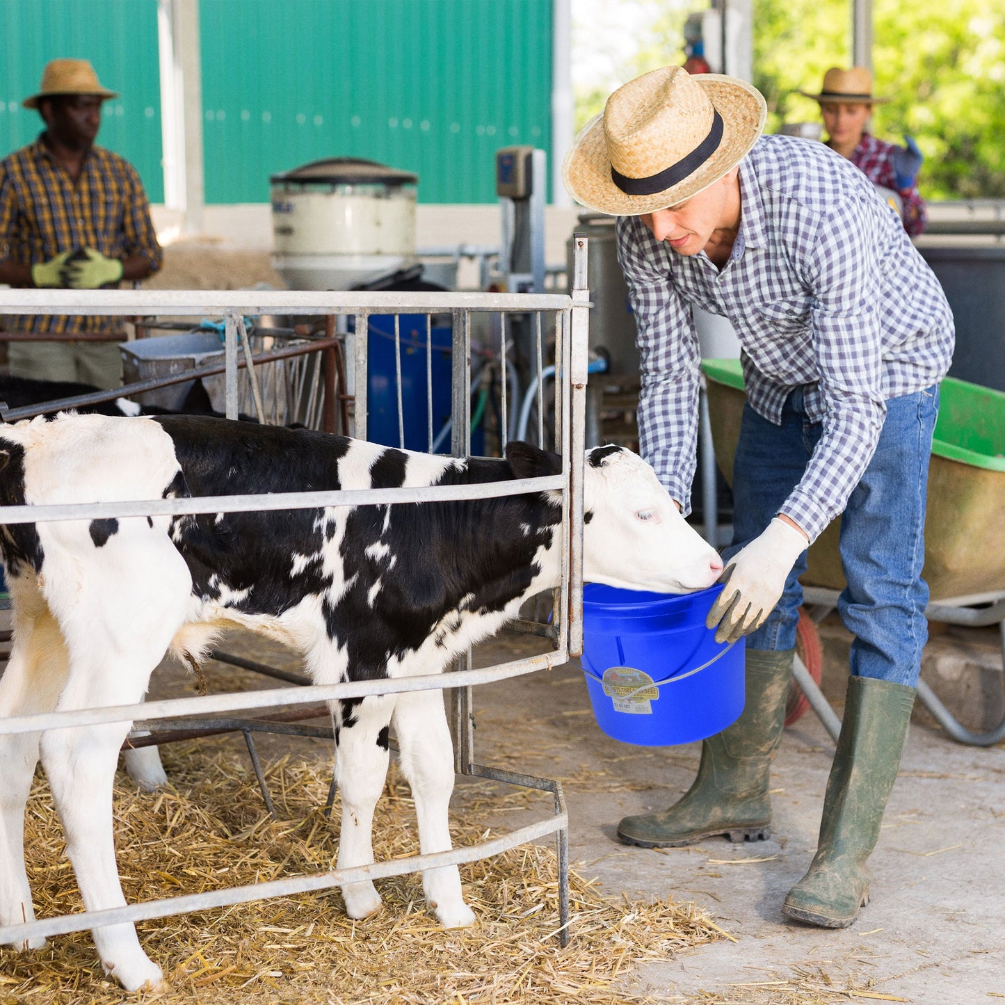 Little Giant 22 Quart Flat Plastic Animals Feed Bucket with Knob Bail, Blue