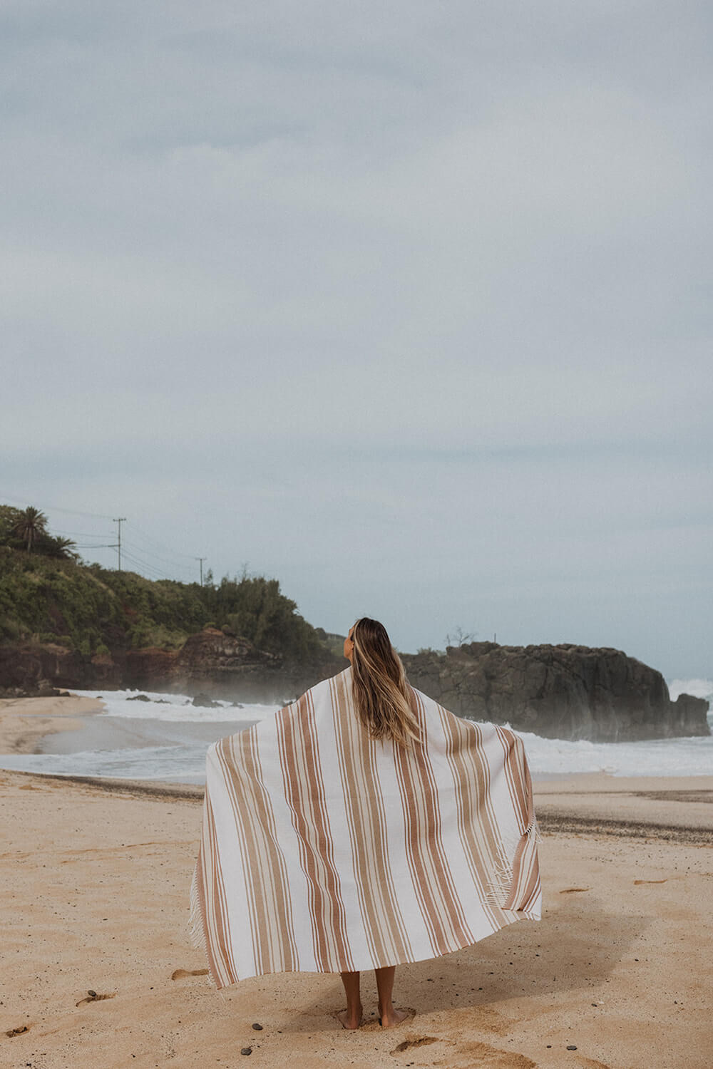 Beach Terra