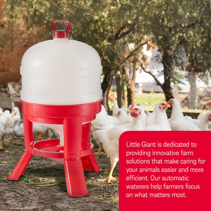 Little Giant 8 Gallon Tank Heavy Duty Poultry Chicken Gravity Waterer (3 Pack)