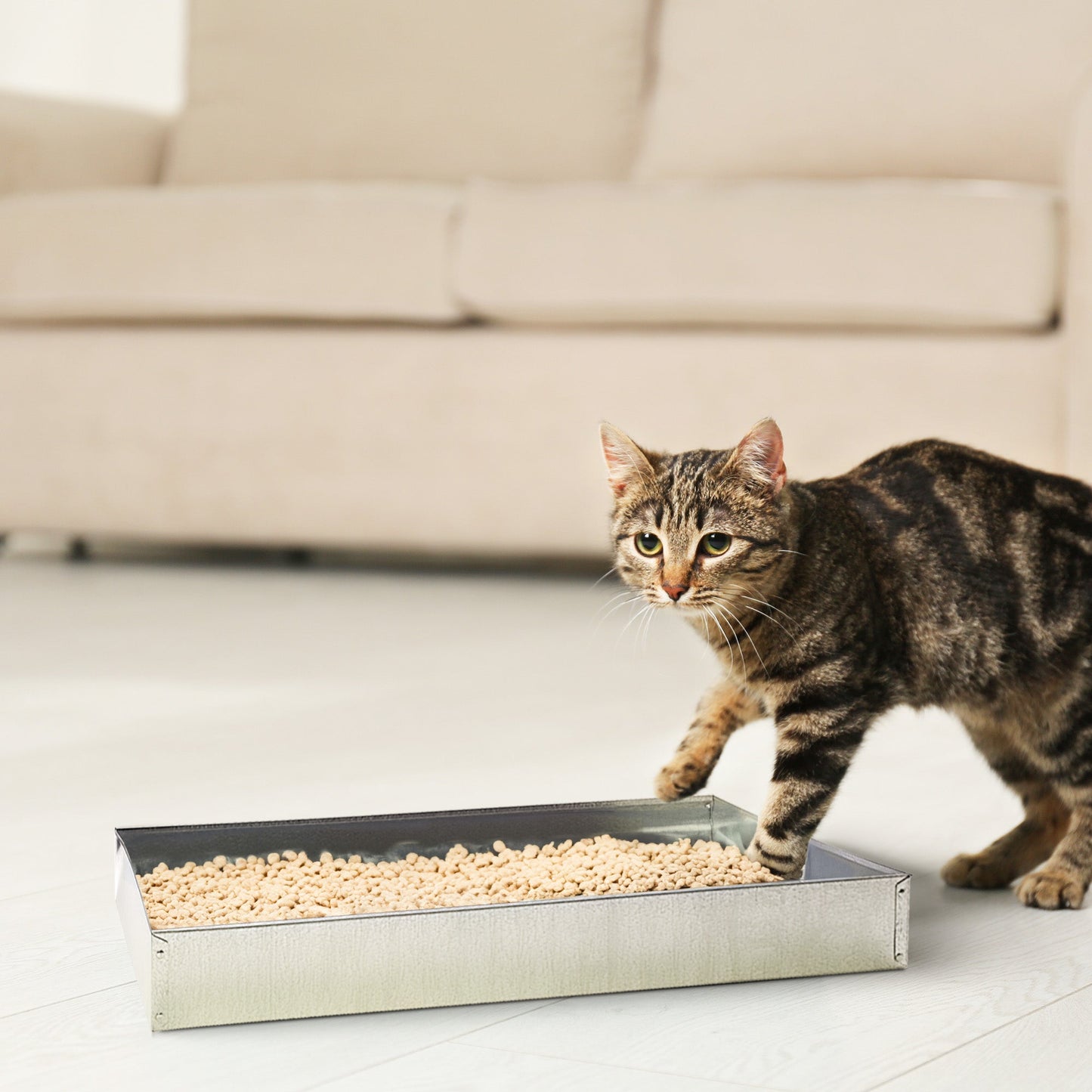 Pet Lodge 24 x 24 x 2.75 Inches Heavy Duty Metal Rabbit Hutch Dropping/Waste Pan