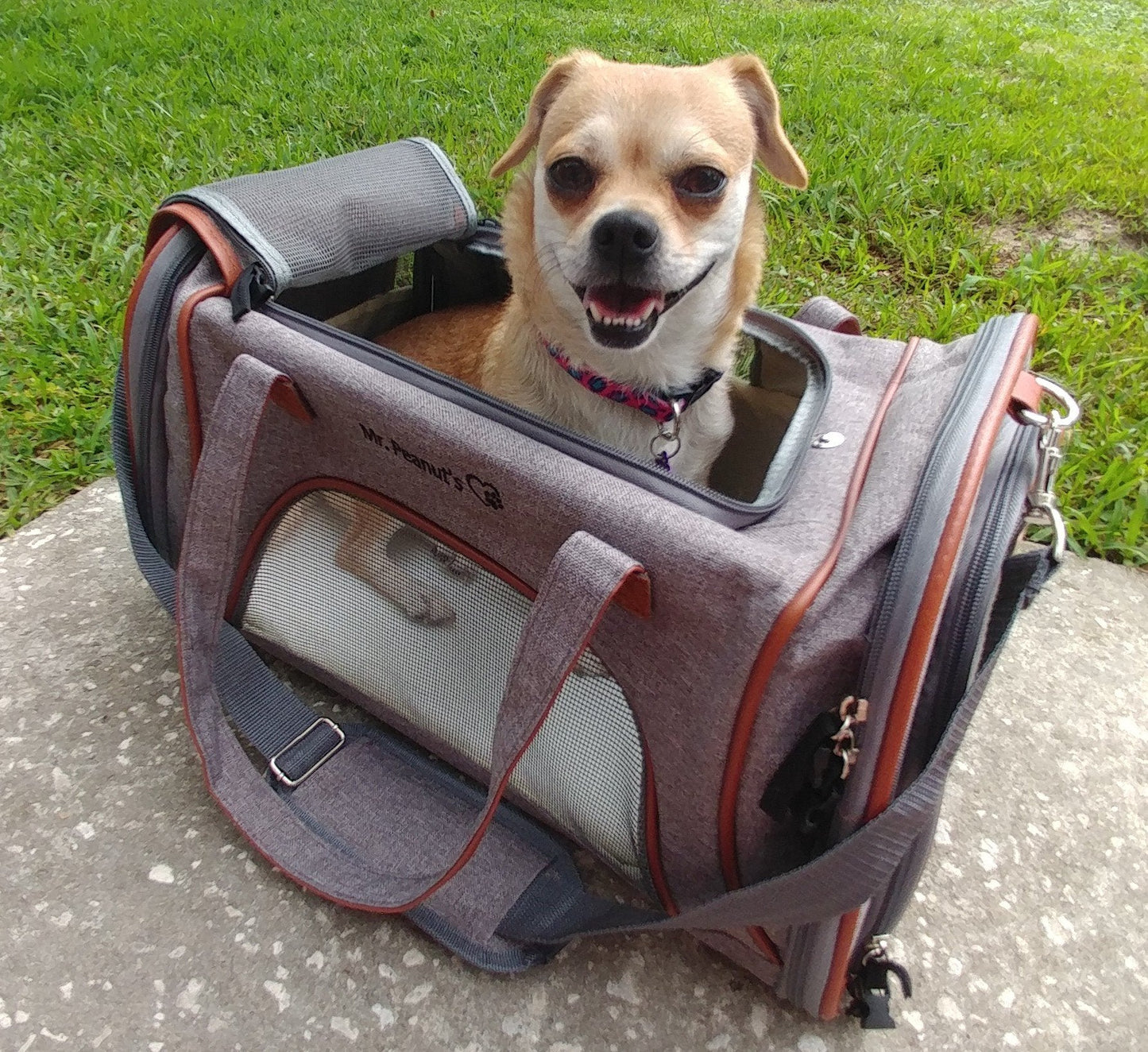 Mr. Peanut's Gold Series Airline Compliant Pet Carrier