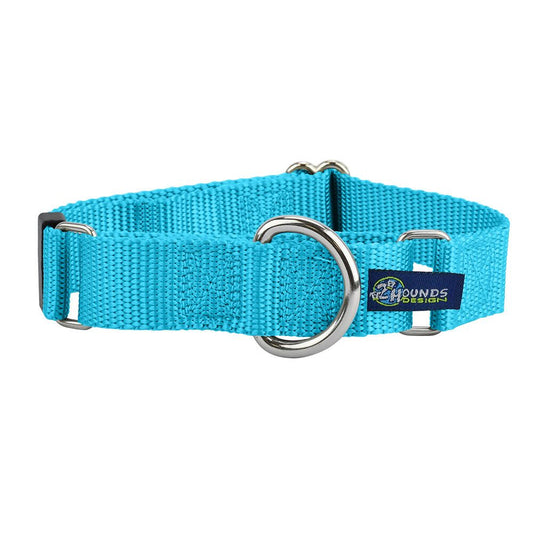 5/8″ and 1″ Turquoise Nylon Martingale Dog Collar