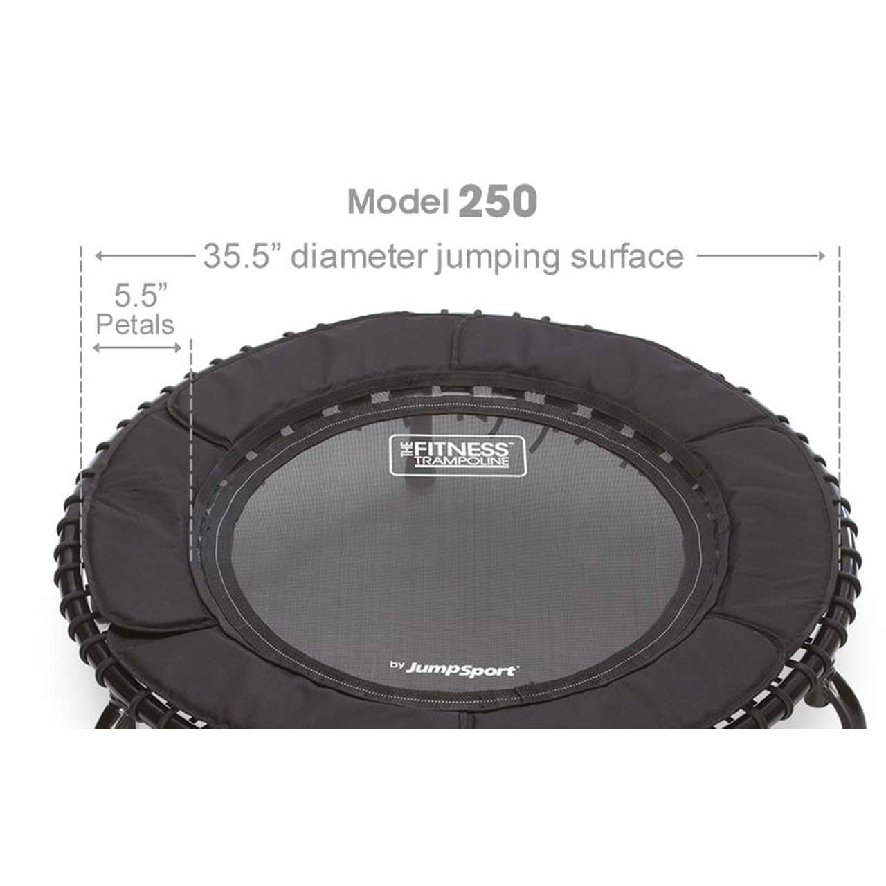 JumpSport 250 Fitness Rebounder Mini Trampoline In Home Cardio Fitness (2 Pack)