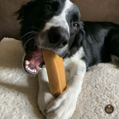 Himalayan Yak Chew (MEGA)