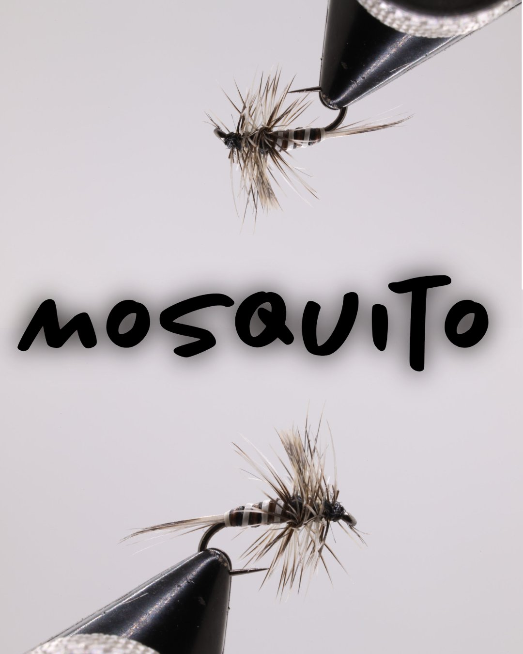 Mosquito