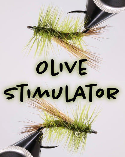 Olive Stimulator