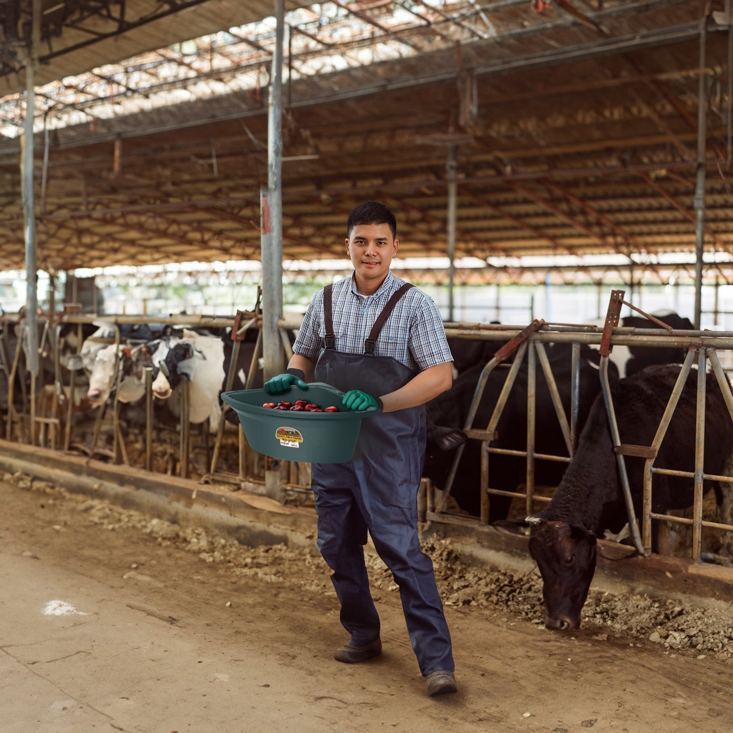 Little Giant 26 Quart Plastic Hanging Corner Livestock Feeder Bucket, Green
