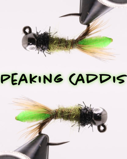 Peaking Caddis