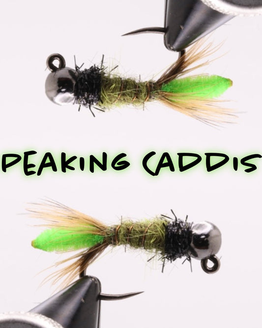 Peaking Caddis