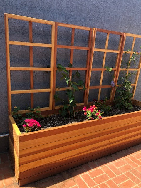 San Laura's Redwood Planter Box with Trellis