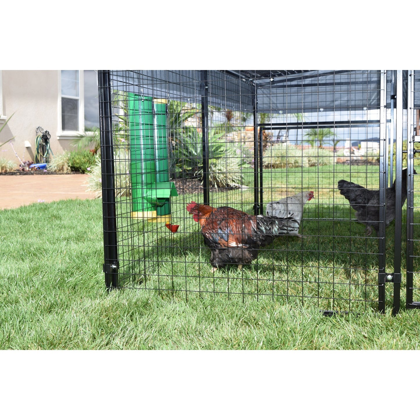 Rugged Ranch High End Hen Elevated 10 Pound Poultry Feeder and Mounting System