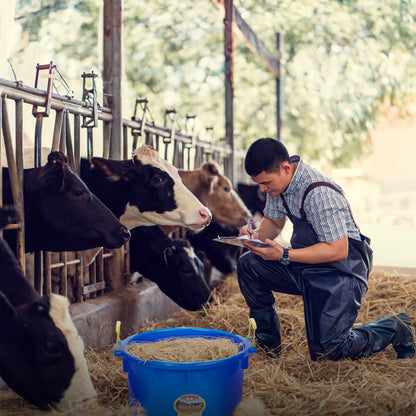 Little Giant 40 Quart Durable and Versatile Utility Muck Tub w/Handles, Blue