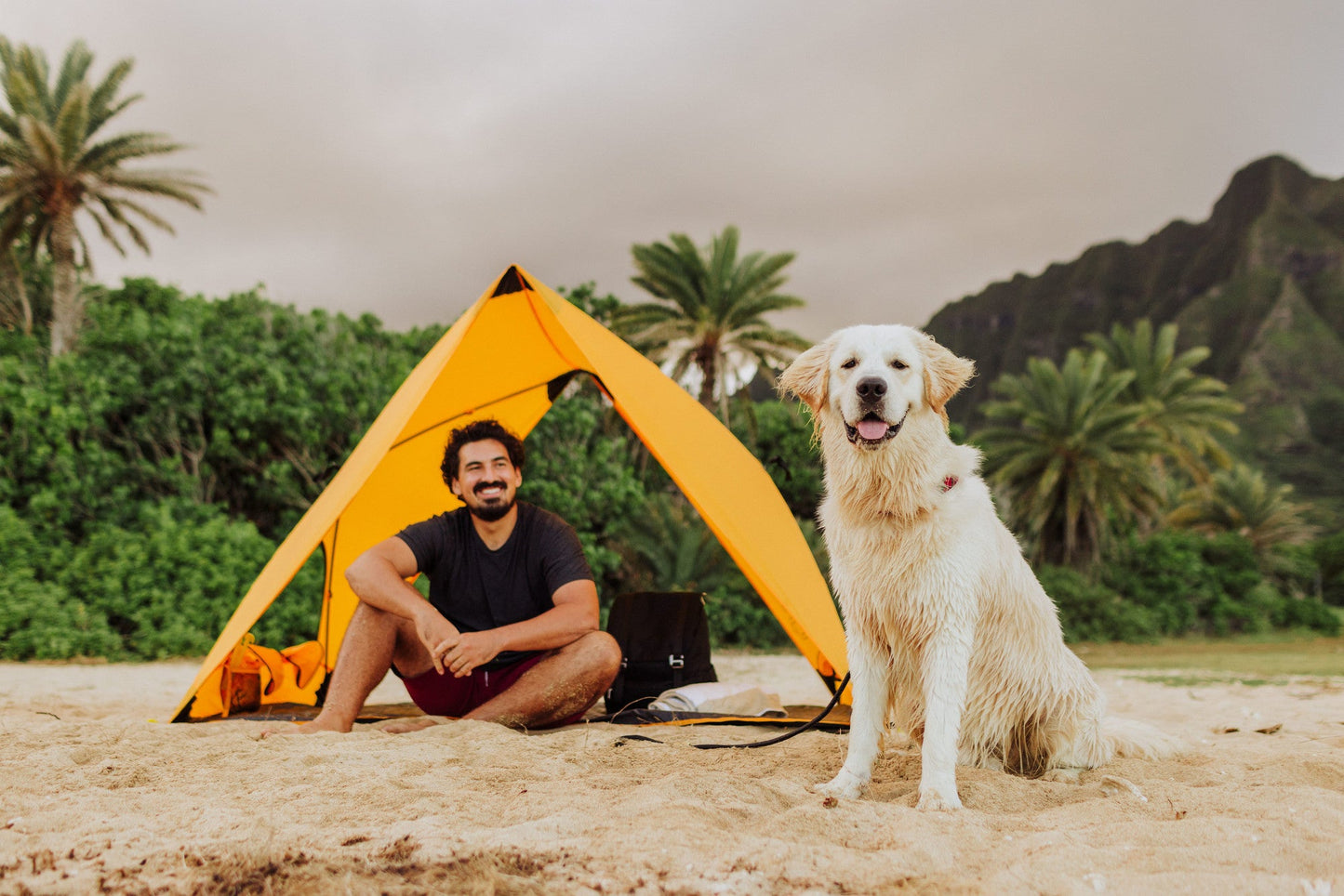 Pismo A-Frame Portable Beach Tent