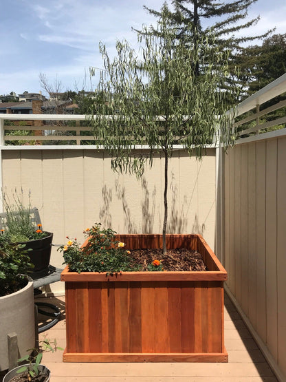 Santa Clara Redwood Planter Box