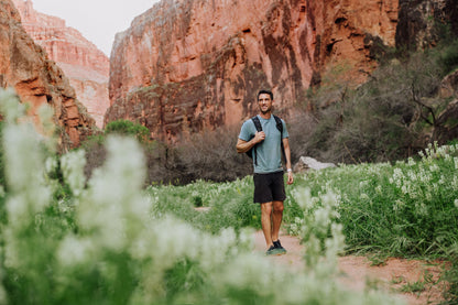 Tarana Recycled Backpack Cooler