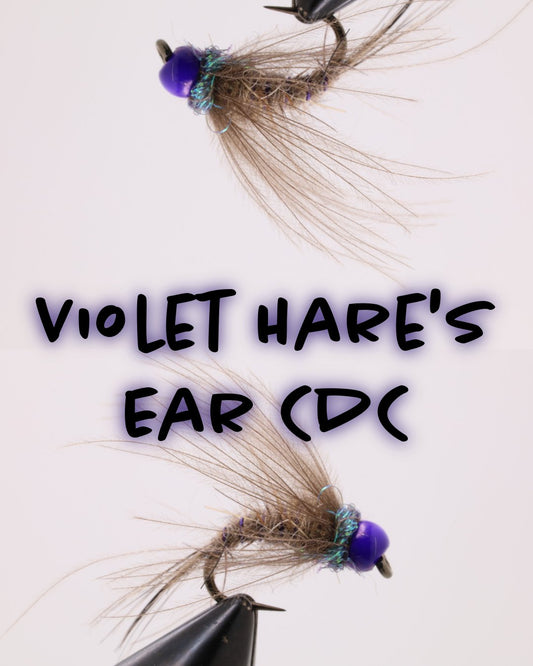 Violet Hare’s Ear CDC