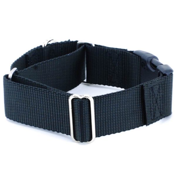 1.5″ Nylon Buckle Martingale Dog Collars (Multiple Color Options)