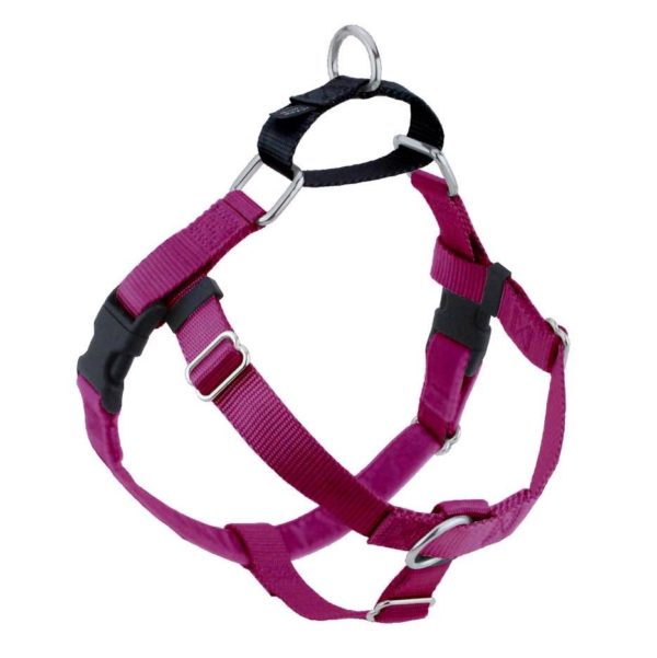 Raspberry Freedom No-Pull Dog Harness