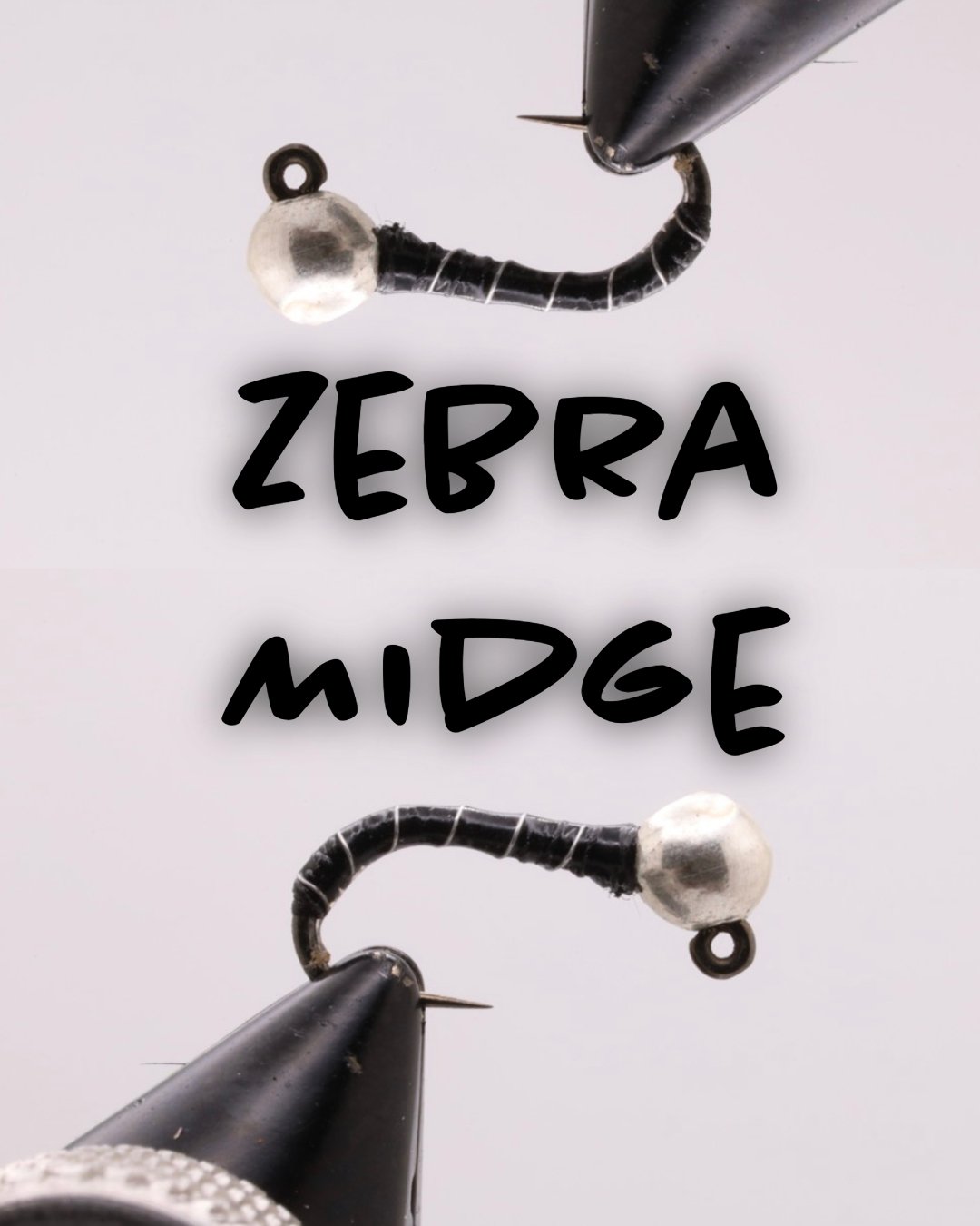 Zebra Midge