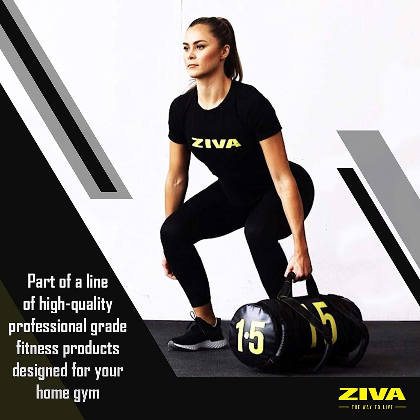 ZIVA 40 Pound Commercial Grade High Performance Training Power Core Sandbag