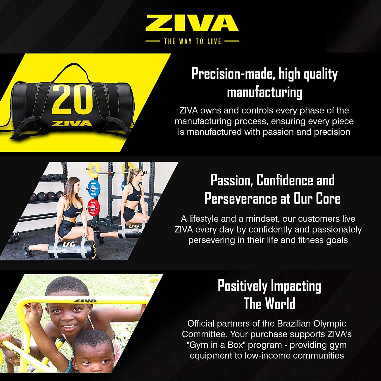 ZIVA 40 Pound Commercial Grade High Performance Training Power Core Sandbag